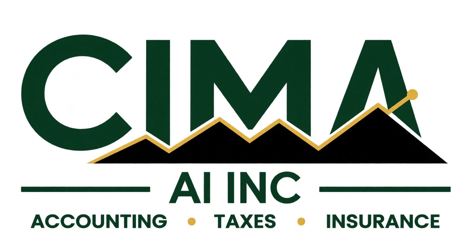 CIMA AI INC — Accounting, Taxes and Insurance